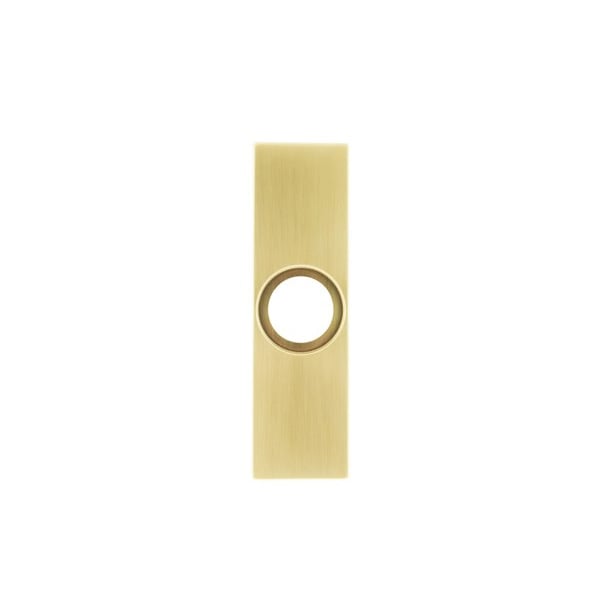 Placa Tesa R/453 De 77x264 Laton Mate
