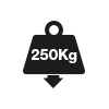 250kg