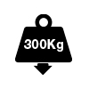 300kg
